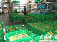 塑料周转箱的具体应用场景